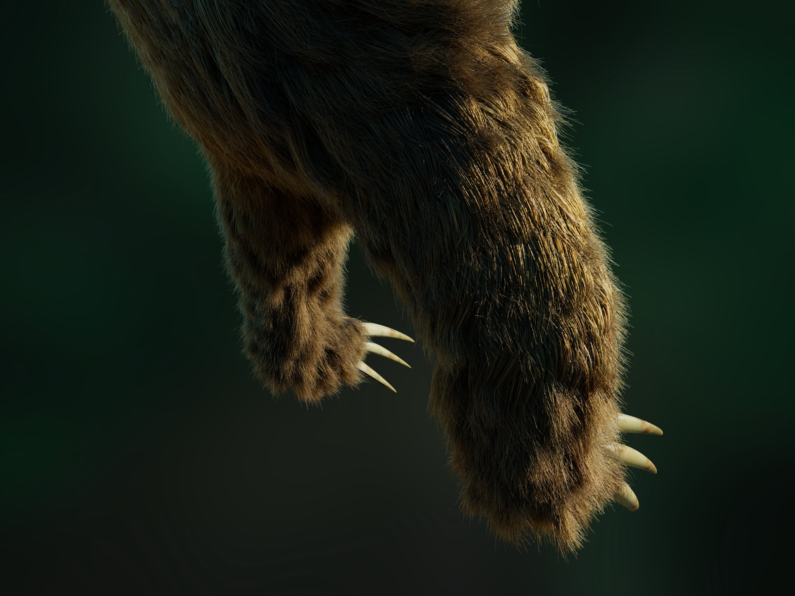sloth_v02