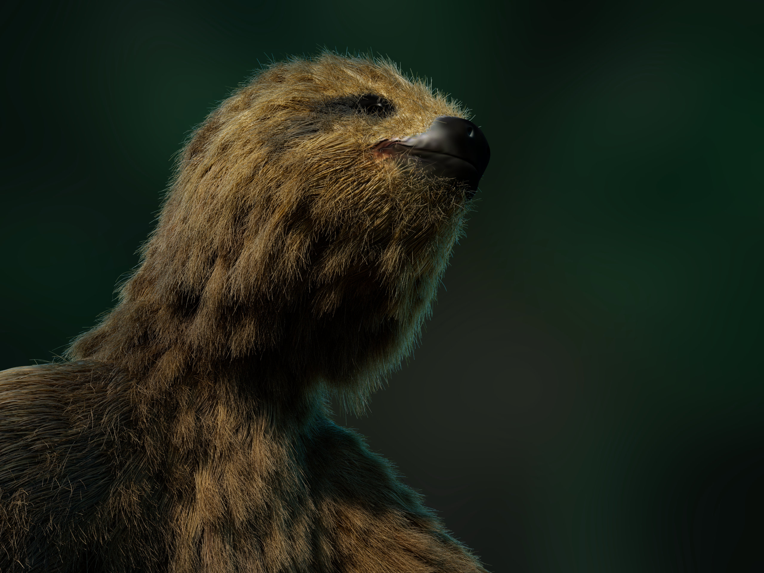 sloth_v02