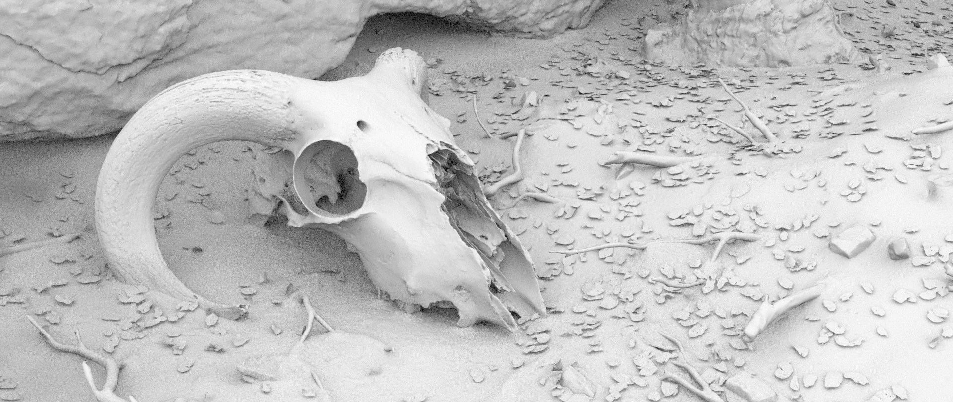 skull-AO