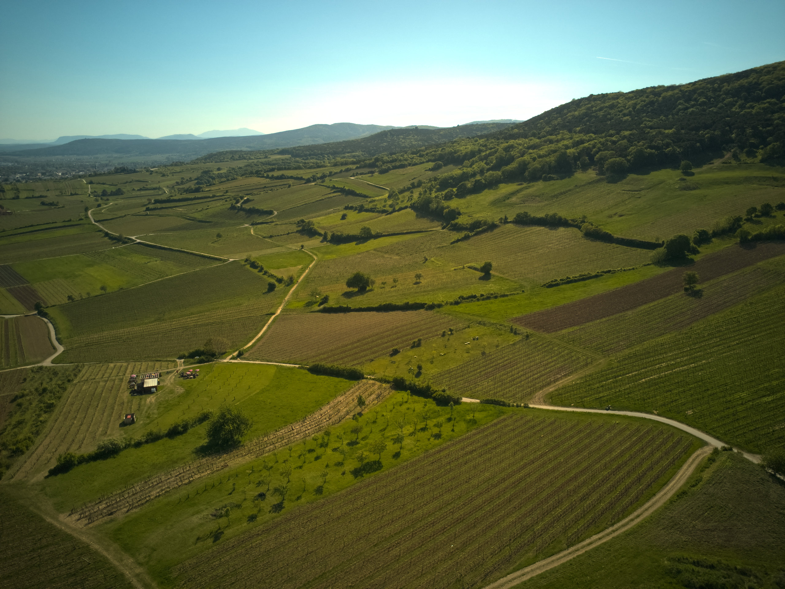 DJI_0149